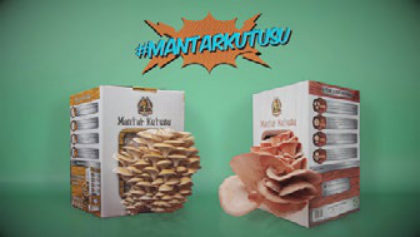 Product launch film – Permakultur · Mantar Kutusu